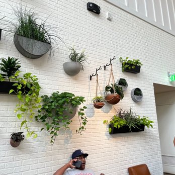 Sixty Vines - Oh the plants. - New American Near Me - Nashville, Tennessee Sixty Vines - Oh the plants. - New American Near Me - Nashville, Tennessee