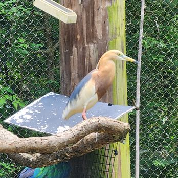 Baton Rouge Zoo - Zoos Near Me - Baton Rouge, Louisiana