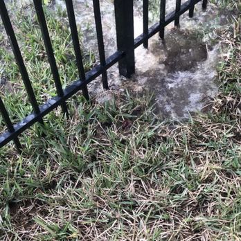 Sunstate Fence - Water line broken. - Fences & Gates Near Me - Fort Myers, Florida Sunstate Fence - Water line broken. - Fences & Gates Near Me - Fort Myers, Florida
