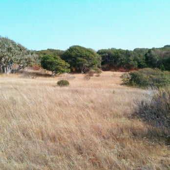 FORA ESCA Remediation Program - Open meadows - Hiking Near Me - Marina, California FORA ESCA Remediation Program - Open meadows - Hiking Near Me - Marina, California