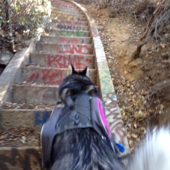 Murphy Ranch Trail - We died going up the last set of stairs - Hiking Near Me Murphy Ranch Trail - We died going up the last set of stairs - Hiking Near Me