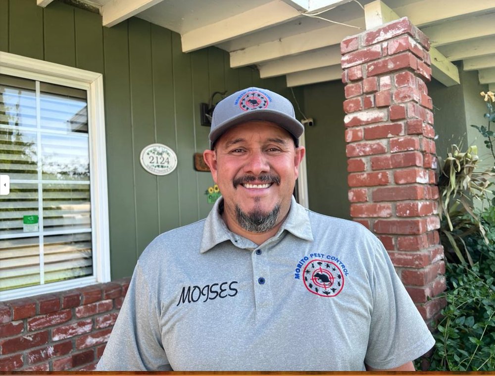 Pest Control Palmdale