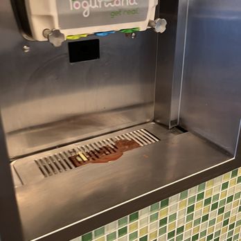 Yogurtland - Mess - Ice Cream & Frozen Yogurt Near Me - Menifee, California