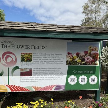 The Flower Fields - Venues & Event Spaces Near Me - Carlsbad, California