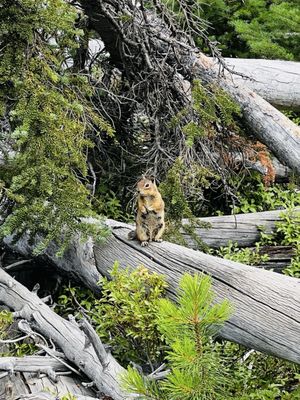 Colchuck Lake by null