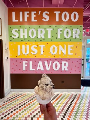 The Original Rainbow Cone by null