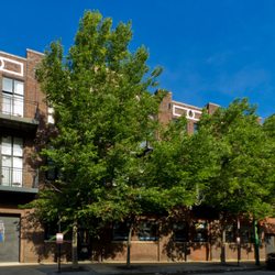 West Loop Spine & Stability - Front entrance with loading zone parking for patients