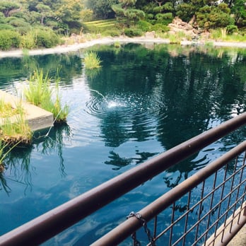 Gekkeikan Sake USA - Pond - Breweries Near Me - Folsom, California