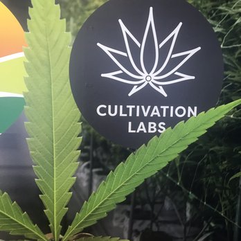 Oasis Cannabis - Cannabis Dispensaries Near Me - Las Vegas, Nevada Oasis Cannabis - Cannabis Dispensaries Near Me - Las Vegas, Nevada