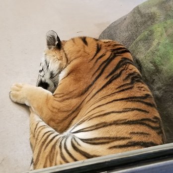 Toronto Zoo - Zoos Near Me - Toronto, Ontario Toronto Zoo - Zoos Near Me - Toronto, Ontario