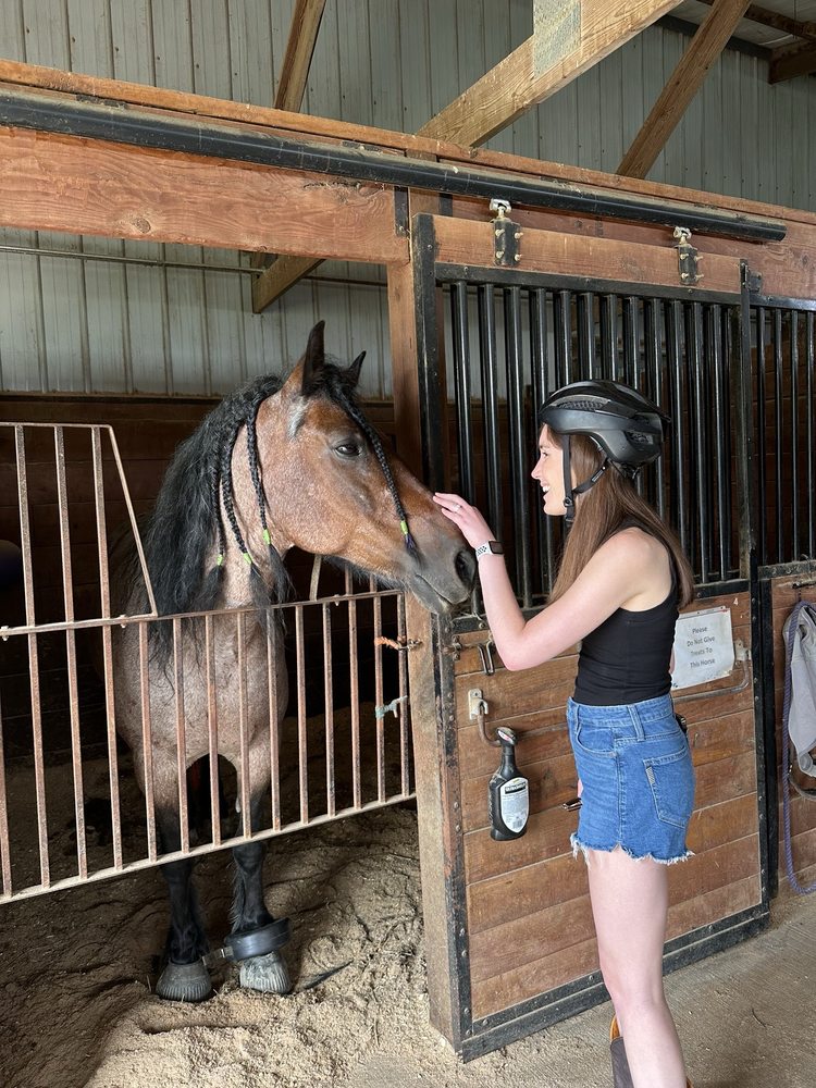 Wedgewood Riding Ctr - equestrian in Wauconda, IL