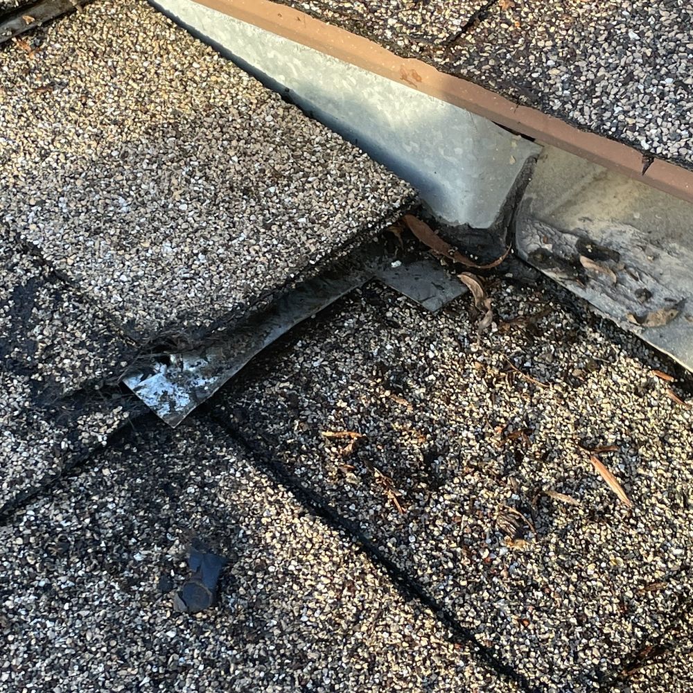 Lukas Pigeon Removal & Gutter Cleaning - Before Leak - Gutter Services Near Me Lukas Pigeon Removal & Gutter Cleaning - Before Leak - Gutter Services Near Me