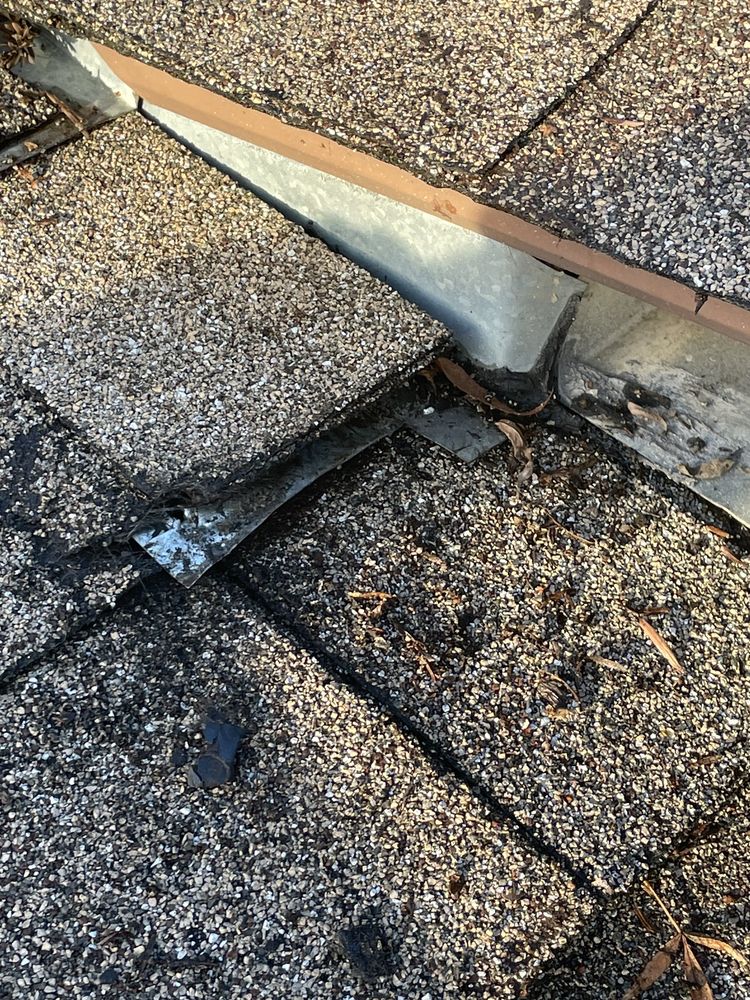 Slide of Lukas Pigeon Removal & Gutter Cleaning