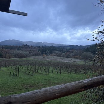 Lumos Wine - The winery - Wineries Near Me - Philomath, Oregon