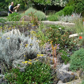 Chelsea Physic Garden - Botanical Gardens Near Me - London, XGL Chelsea Physic Garden - Botanical Gardens Near Me - London, XGL