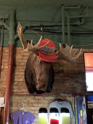 Foster & Logans Pub & Grill by null