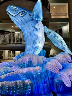 Clearwater Marine Aquarium by null