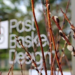 PB Kitchen Design - Past Basket Design Geneva, IL