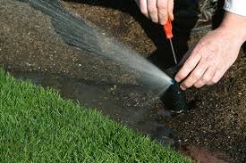 Slide of Zaccone Landscape Irrigation