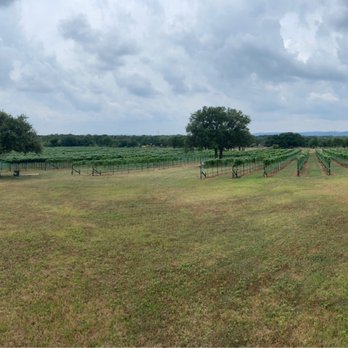 Cellar Door Wine Tours - Wine Tours Near Me - Spicewood, Texas Cellar Door Wine Tours - Wine Tours Near Me - Spicewood, Texas