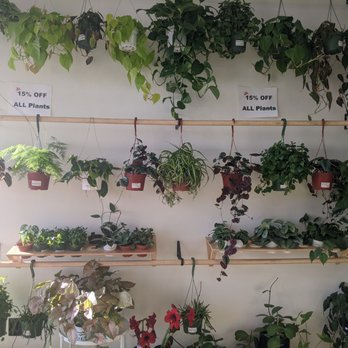 PlanterSam - Nurseries & Gardening Near Me - Vista, California PlanterSam - Nurseries & Gardening Near Me - Vista, California