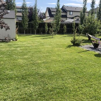 RWJT Mowing & Snow Removal - a lawn with a hammock and chairs - Lawn Services Near Me RWJT Mowing & Snow Removal - a lawn with a hammock and chairs - Lawn Services Near Me