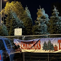 Valley View Christmas Trees