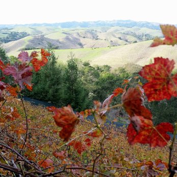 Captain Vineyards - Beautiful view from the deck of Captain Vineyards - Wineries Near Me - Moraga, California