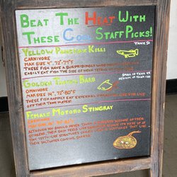 Luckys Aquarium - Staff picks