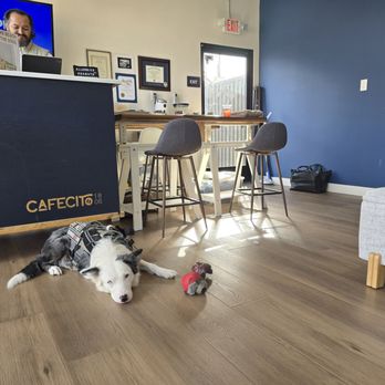 Cafecito 1806 - Owner Omar and his service dos Milo! - Coffee & Tea Near Me - San Diego, California