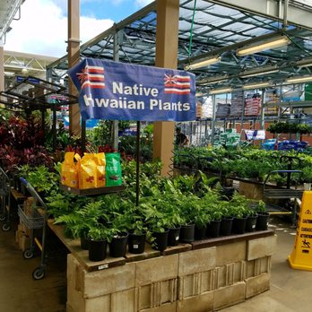 Lowe's Home Improvement - Native Hawaiian Plants.......... - Hardware Stores Near Me - Honolulu, Hawaii Lowe's Home Improvement - Native Hawaiian Plants.......... - Hardware Stores Near Me - Honolulu, Hawaii