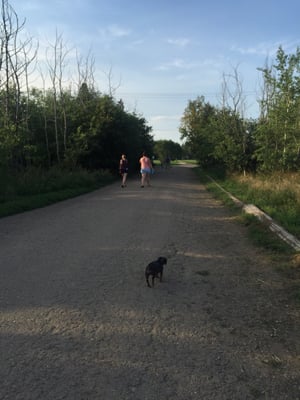 Sir Wilfrid Laurier Park by null