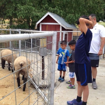Cover's Apple Ranch - Petting/feeding the animals! - Bakeries Near Me - Tuolumne, California