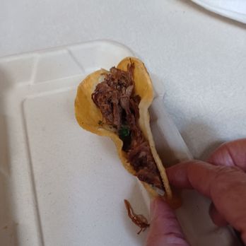 La Birria - Compared to my hand, yes indeed a street taco. Had to open it up a little to see where the beef was hiding. - Mexican Near Me - Aiea, Hawaii La Birria - Compared to my hand, yes indeed a street taco. Had to open it up a little to see where the beef was hiding. - Mexican Near Me - Aiea, Hawaii