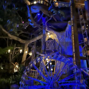 Adventureland Treehouse - Amusement Parks Near Me - Anaheim, California Adventureland Treehouse - Amusement Parks Near Me - Anaheim, California
