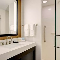 Hampton Inn Brooklyn/Downtown - Guest room bath