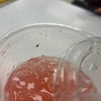 Black Rock Coffee Bar - Bug - Coffee & Tea Near Me - Mesa, Arizona