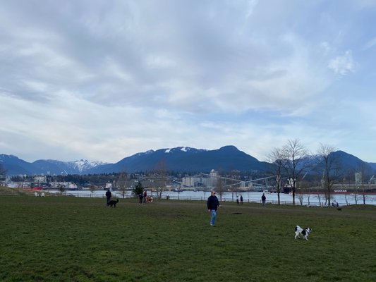 New Brighton Park by null