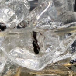 Fancy ice cubes?