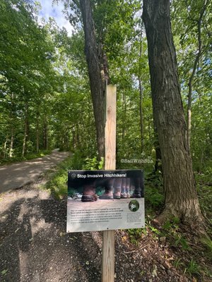 Maybury State Park by null