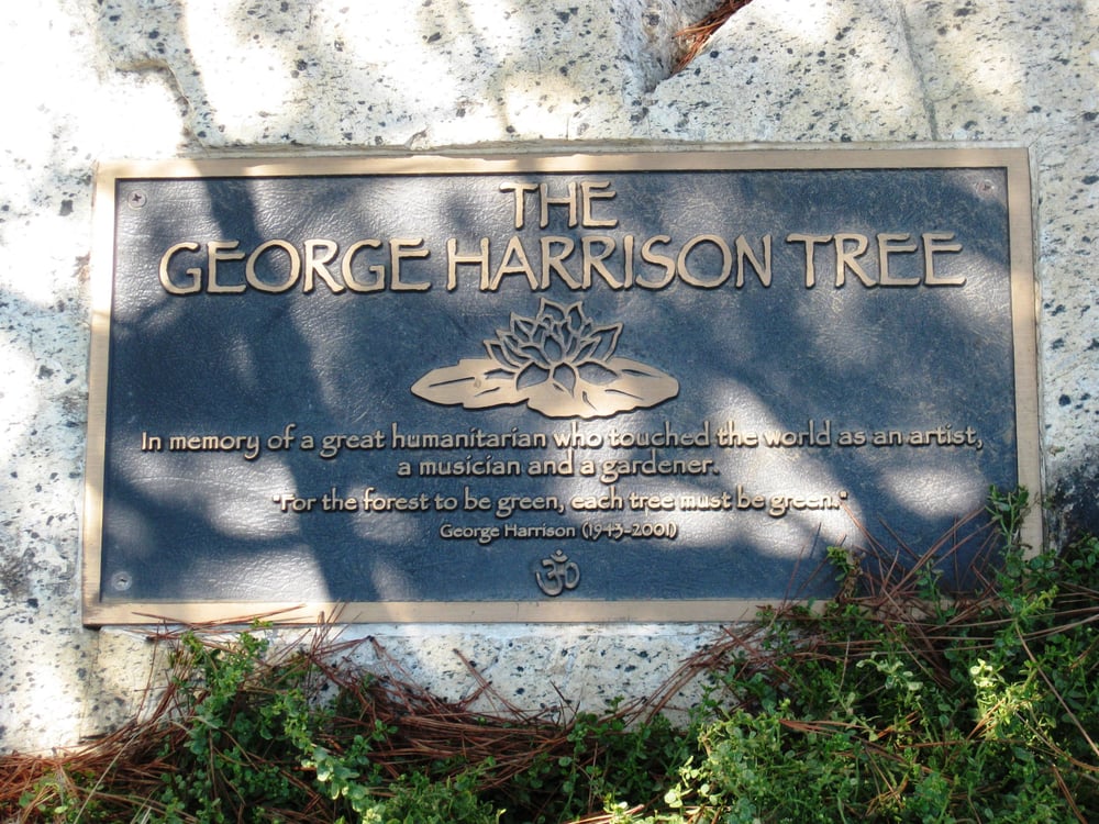 Photo of The George Harrison Tree - Los Angeles, CA, United States. a close up of the plaque