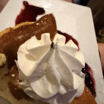 Omni Shoreham Hotel - Bug on the cheesecake!! ew!! - Hotels Near Me - Washington, DC, District of Columbia
