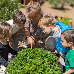 Bannockburn Nursery School - Outdoor play and exploration