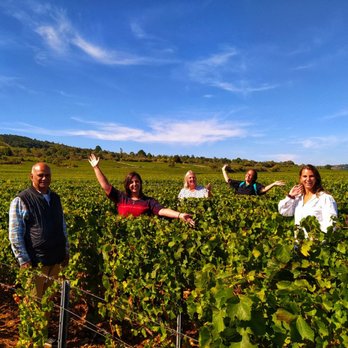 Bourgogne Evasion - Vineyard private family tour - Bike Rentals Near Me - Beaune, 21
