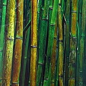 LIK Fine Art - Bamboo Forest - Art Galleries Near Me - Lahaina, Hawaii