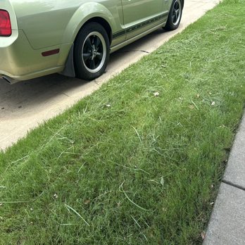 Executive Lawn Care - Lawn Services Near Me - Frisco, Texas Executive Lawn Care - Lawn Services Near Me - Frisco, Texas