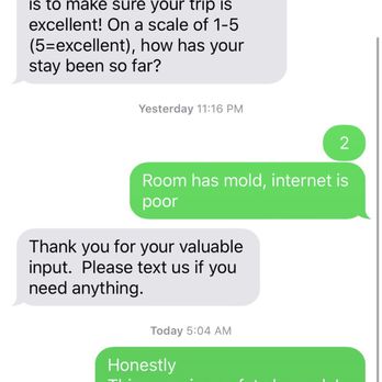Surfer Beach Hotel - When you tell staff how bad this place is, they just thank you for the feedback. No one with any authority bothers to contact you. - San Diego, CA