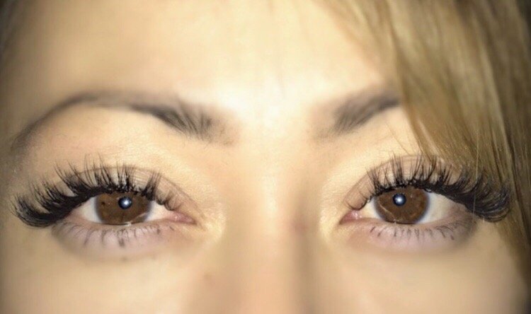 Lashd by Holly Logo