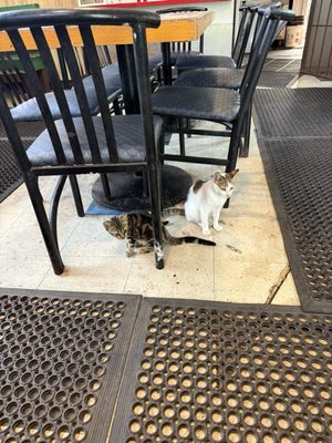 Keneke's Grill at Punaluu by null