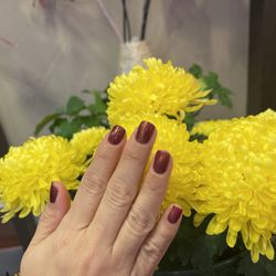 Hollywood Nail Spa - Gel nail with cat eyes